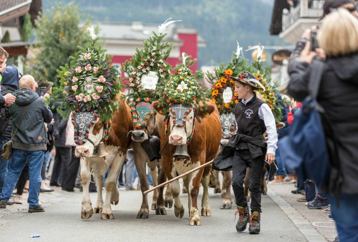 Mayrhofen